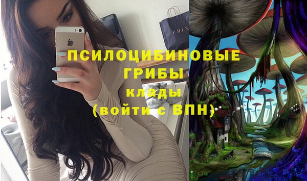 марки lsd Каменка