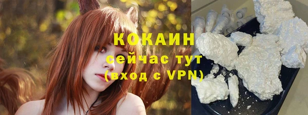 дживик Сосновка